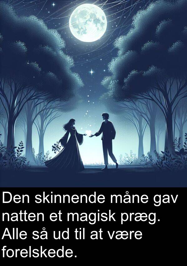 magisk: Den skinnende måne gav natten et magisk præg. Alle så ud til at være forelskede.
