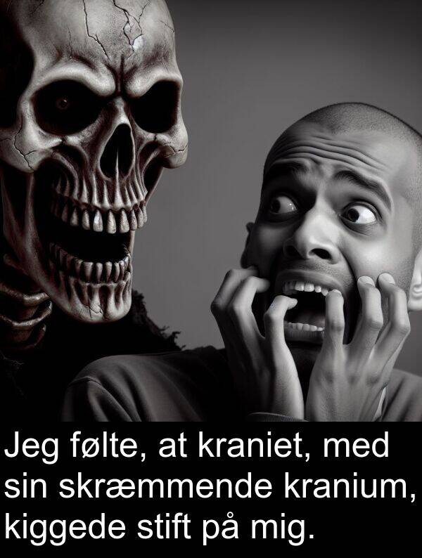 kiggede: Jeg følte, at kraniet, med sin skræmmende kranium, kiggede stift på mig.