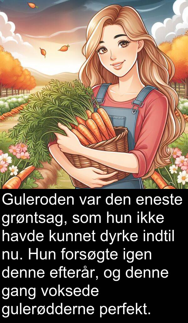 kunnet: Guleroden var den eneste grøntsag, som hun ikke havde kunnet dyrke indtil nu. Hun forsøgte igen denne efterår, og denne gang voksede gulerødderne perfekt.