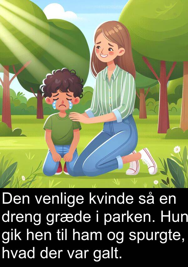 kvinde: Den venlige kvinde så en dreng græde i parken. Hun gik hen til ham og spurgte, hvad der var galt.