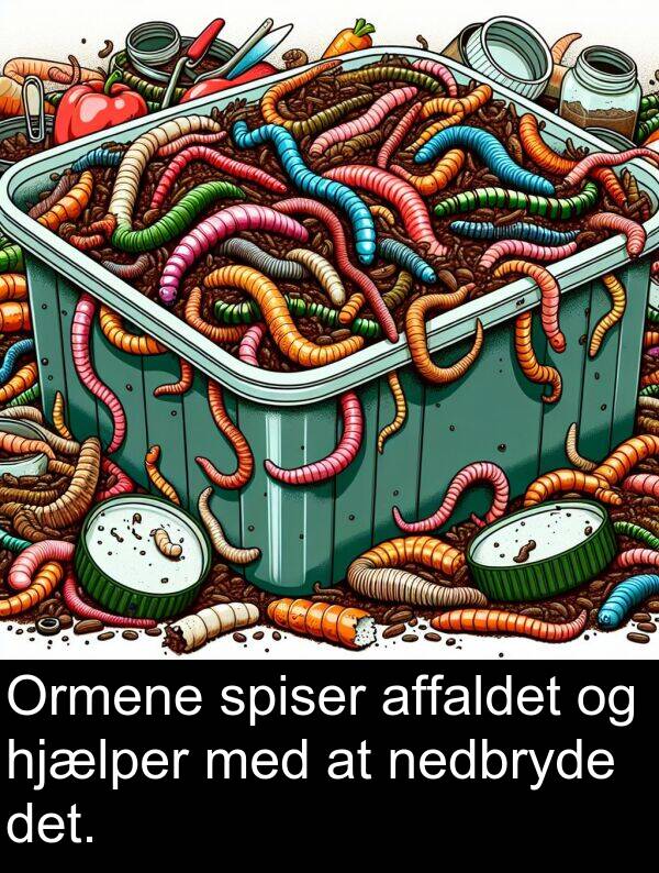 hjælper: Ormene spiser affaldet og hjælper med at nedbryde det.