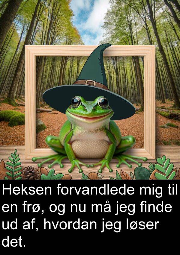 af: Heksen forvandlede mig til en frø, og nu må jeg finde ud af, hvordan jeg løser det.