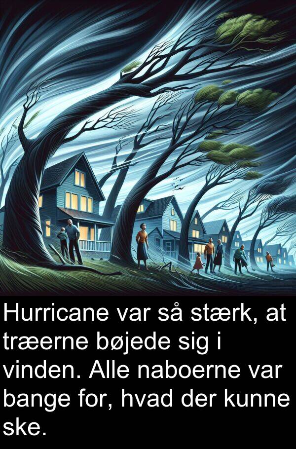 vinden: Hurricane var så stærk, at træerne bøjede sig i vinden. Alle naboerne var bange for, hvad der kunne ske.