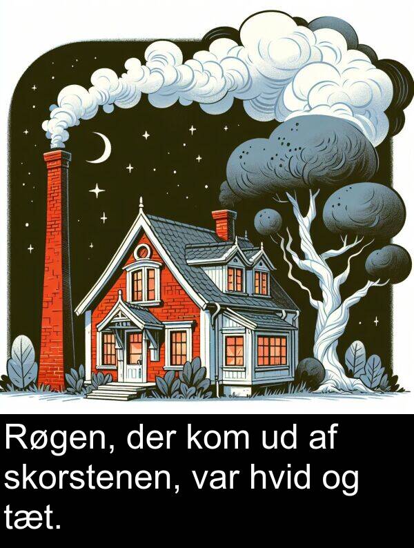 hvid: Røgen, der kom ud af skorstenen, var hvid og tæt.