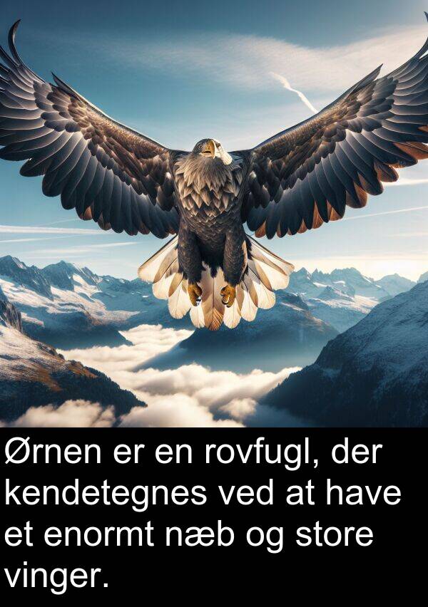 kendetegnes: Ørnen er en rovfugl, der kendetegnes ved at have et enormt næb og store vinger.