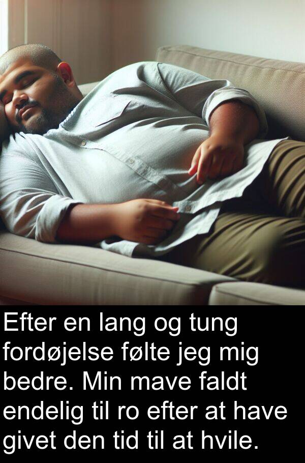 mave: Efter en lang og tung fordøjelse følte jeg mig bedre. Min mave faldt endelig til ro efter at have givet den tid til at hvile.