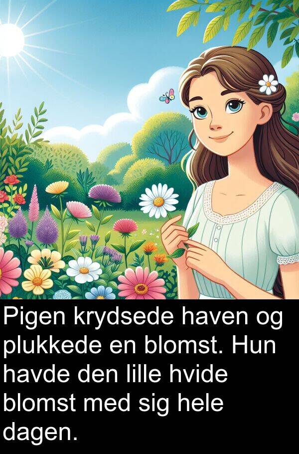 krydsede: Pigen krydsede haven og plukkede en blomst. Hun havde den lille hvide blomst med sig hele dagen.