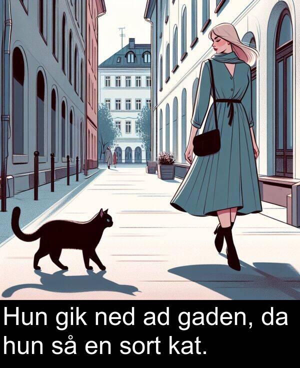 kat: Hun gik ned ad gaden, da hun så en sort kat.