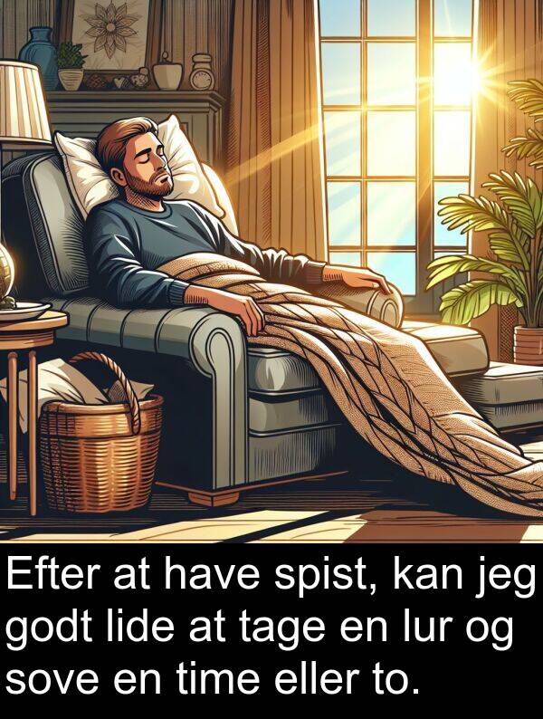 tage: Efter at have spist, kan jeg godt lide at tage en lur og sove en time eller to.