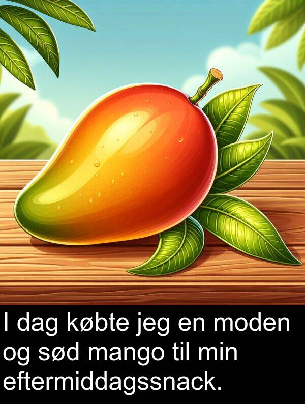 mango: I dag købte jeg en moden og sød mango til min eftermiddagssnack.