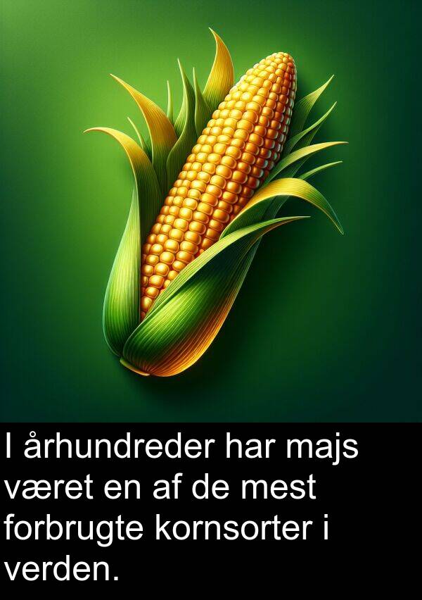 kornsorter: I århundreder har majs været en af de mest forbrugte kornsorter i verden.