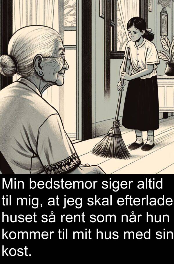 kost: Min bedstemor siger altid til mig, at jeg skal efterlade huset så rent som når hun kommer til mit hus med sin kost.