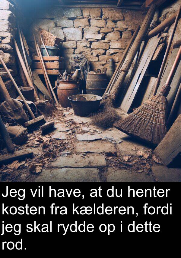 kælderen: Jeg vil have, at du henter kosten fra kælderen, fordi jeg skal rydde op i dette rod.
