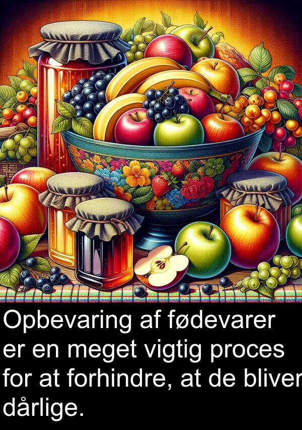 proces: Opbevaring af fødevarer er en meget vigtig proces for at forhindre, at de bliver dårlige.