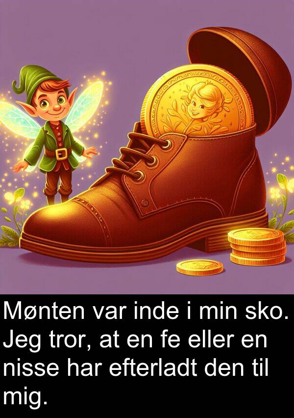 inde: Mønten var inde i min sko. Jeg tror, at en fe eller en nisse har efterladt den til mig.