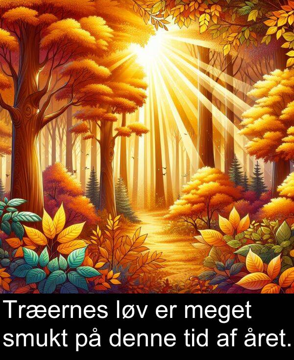 året: Træernes løv er meget smukt på denne tid af året.