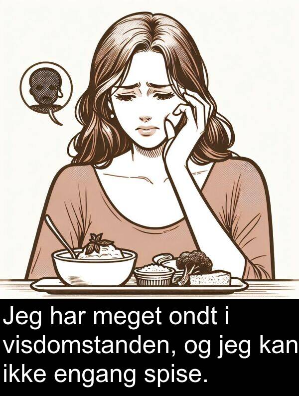 visdomstanden: Jeg har meget ondt i visdomstanden, og jeg kan ikke engang spise.