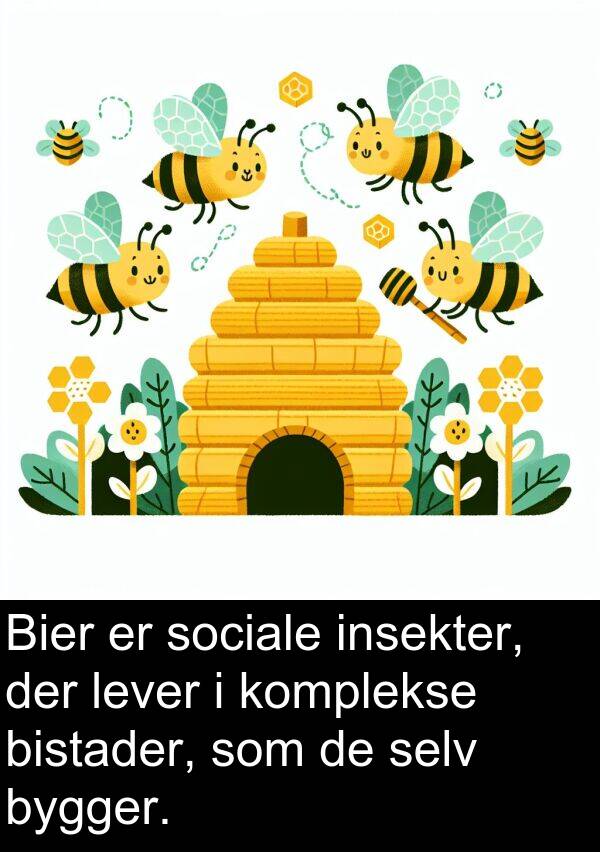 komplekse: Bier er sociale insekter, der lever i komplekse bistader, som de selv bygger.
