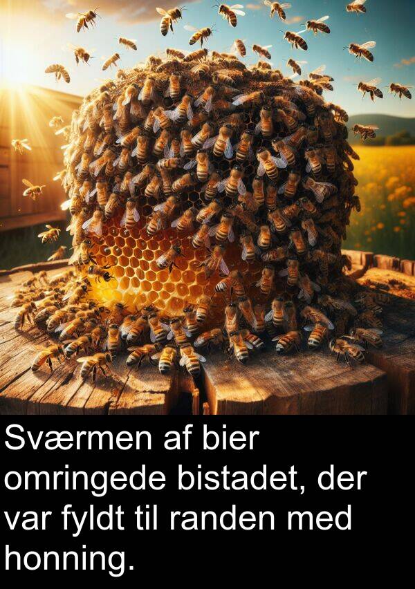 honning: Sværmen af bier omringede bistadet, der var fyldt til randen med honning.