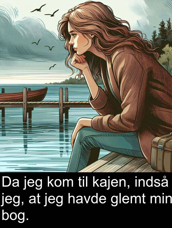 havde: Da jeg kom til kajen, indså jeg, at jeg havde glemt min bog.