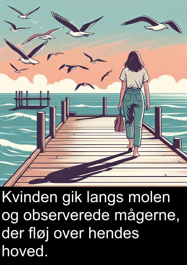 observerede: Kvinden gik langs molen og observerede mågerne, der fløj over hendes hoved.