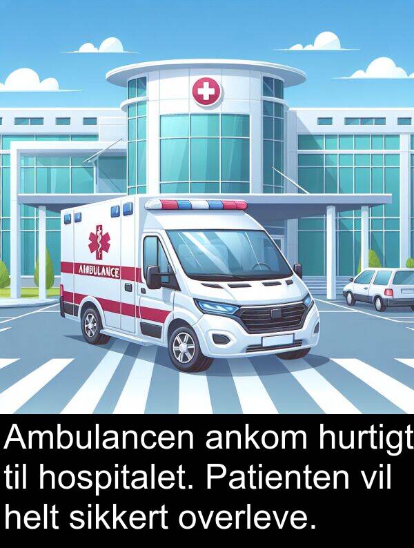 hurtigt: Ambulancen ankom hurtigt til hospitalet. Patienten vil helt sikkert overleve.