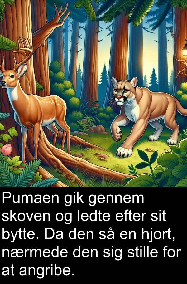 hjort: Pumaen gik gennem skoven og ledte efter sit bytte. Da den så en hjort, nærmede den sig stille for at angribe.