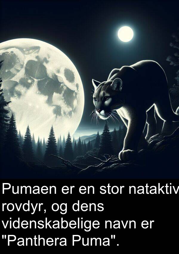 videnskabelige: Pumaen er en stor nataktiv rovdyr, og dens videnskabelige navn er "Panthera Puma".
