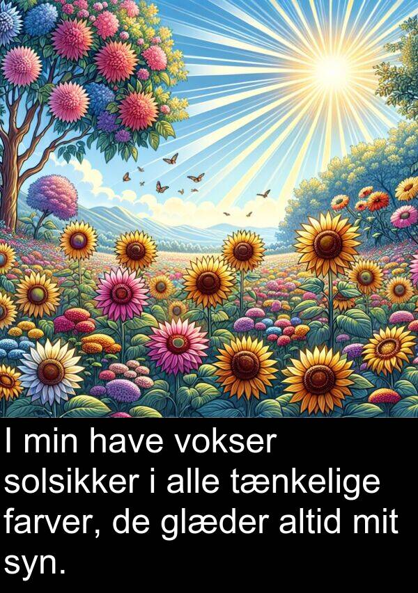 vokser: I min have vokser solsikker i alle tænkelige farver, de glæder altid mit syn.