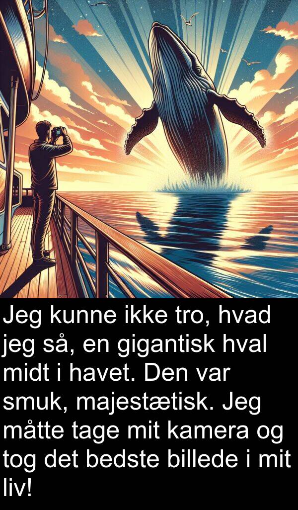 midt: Jeg kunne ikke tro, hvad jeg så, en gigantisk hval midt i havet. Den var smuk, majestætisk. Jeg måtte tage mit kamera og tog det bedste billede i mit liv!