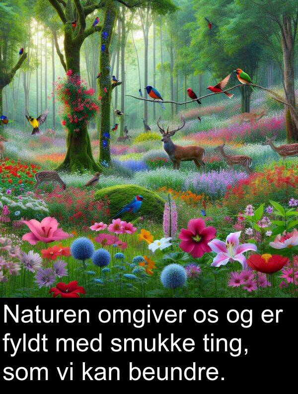 fyldt: Naturen omgiver os og er fyldt med smukke ting, som vi kan beundre.