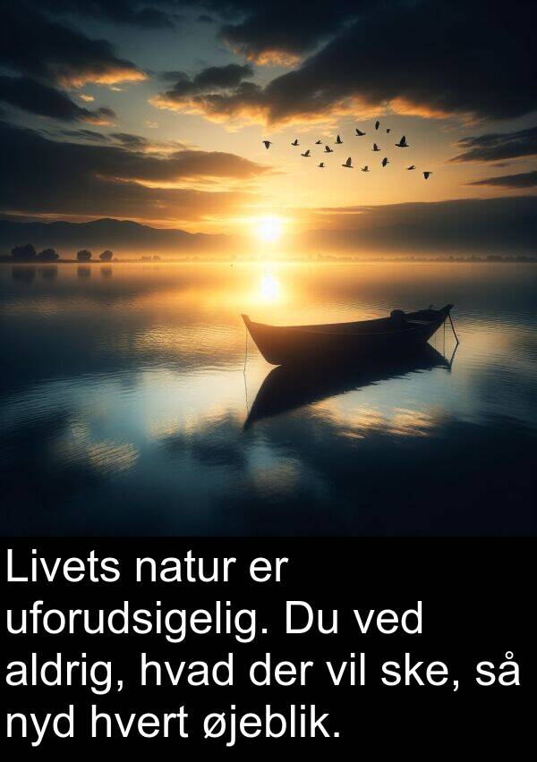øjeblik: Livets natur er uforudsigelig. Du ved aldrig, hvad der vil ske, så nyd hvert øjeblik.