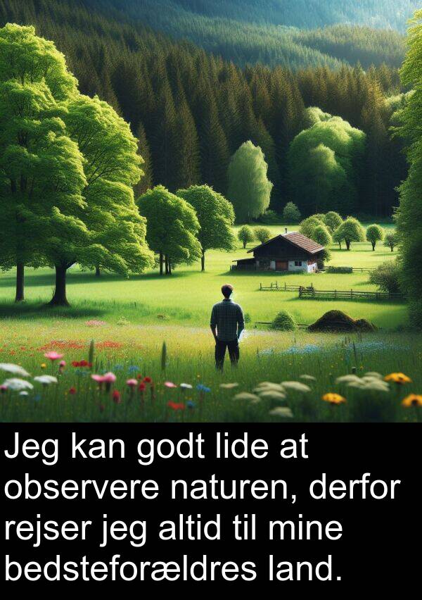 observere: Jeg kan godt lide at observere naturen, derfor rejser jeg altid til mine bedsteforældres land.