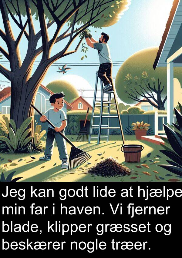 haven: Jeg kan godt lide at hjælpe min far i haven. Vi fjerner blade, klipper græsset og beskærer nogle træer.