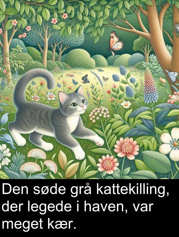 kær: Den søde grå kattekilling, der legede i haven, var meget kær.