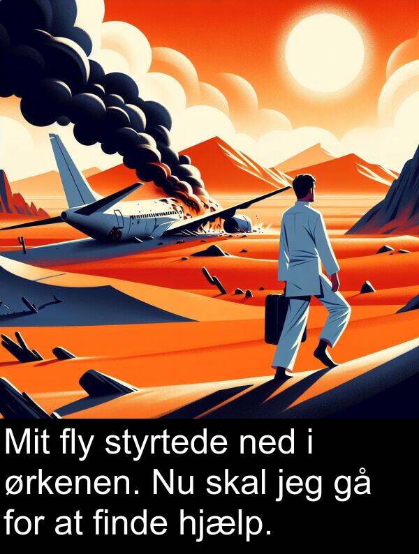 fly: Mit fly styrtede ned i ørkenen. Nu skal jeg gå for at finde hjælp.