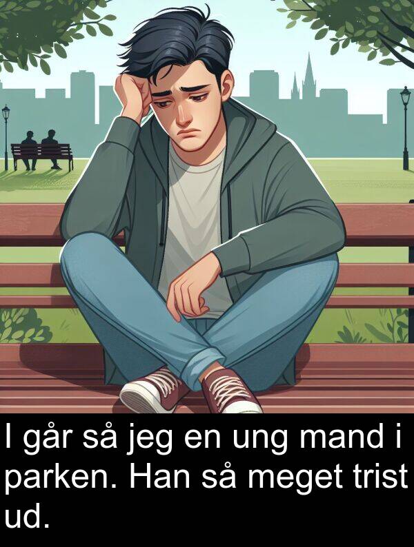 mand: I går så jeg en ung mand i parken. Han så meget trist ud.