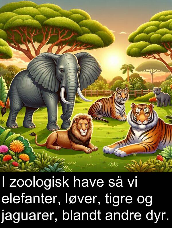 jaguarer: I zoologisk have så vi elefanter, løver, tigre og jaguarer, blandt andre dyr.