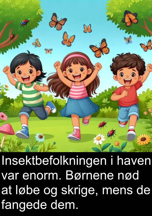 haven: Insektbefolkningen i haven var enorm. Børnene nød at løbe og skrige, mens de fangede dem.