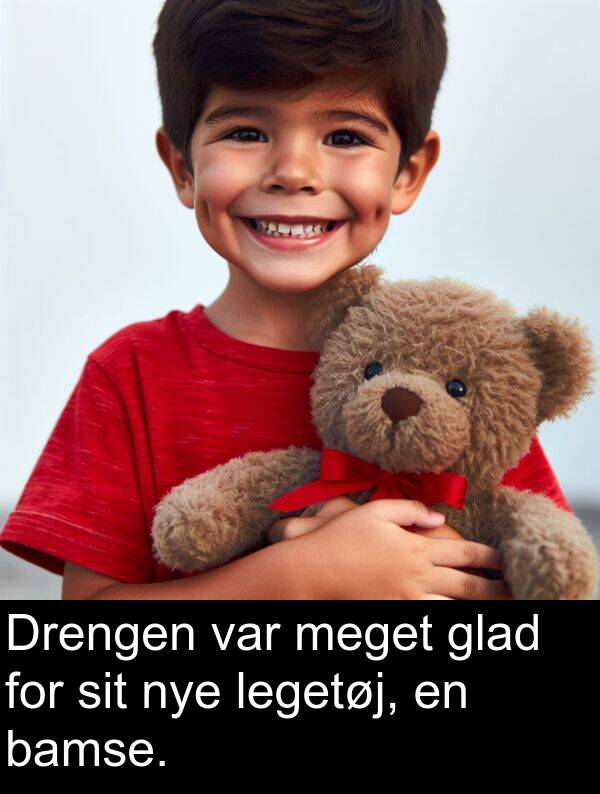 glad: Drengen var meget glad for sit nye legetøj, en bamse.