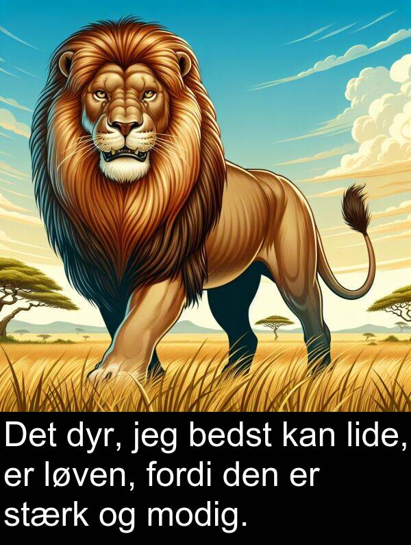 modig: Det dyr, jeg bedst kan lide, er løven, fordi den er stærk og modig.