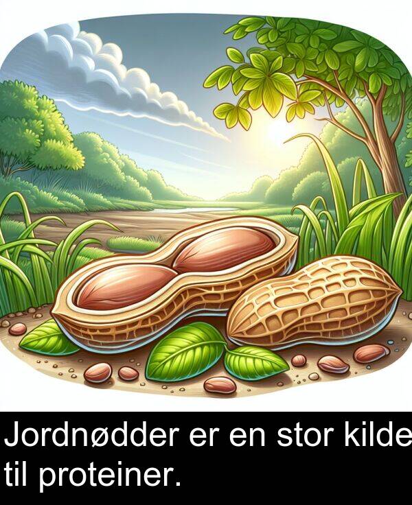 kilde: Jordnødder er en stor kilde til proteiner.