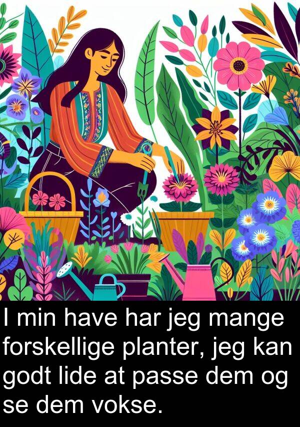 vokse: I min have har jeg mange forskellige planter, jeg kan godt lide at passe dem og se dem vokse.