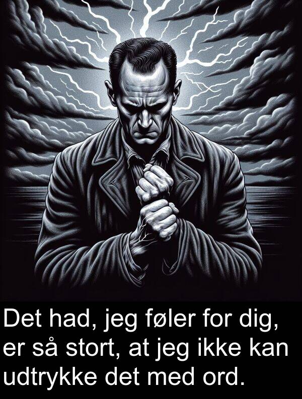 had: Det had, jeg føler for dig, er så stort, at jeg ikke kan udtrykke det med ord.