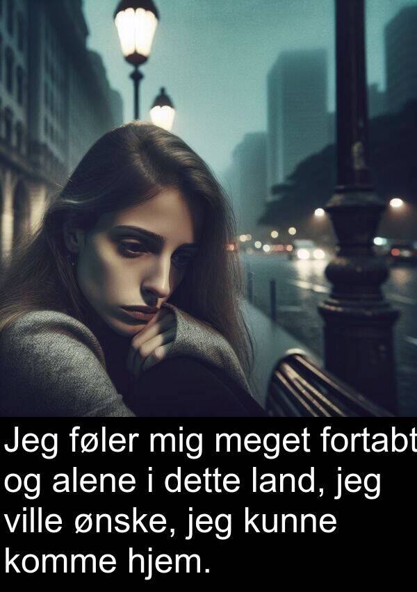 ønske: Jeg føler mig meget fortabt og alene i dette land, jeg ville ønske, jeg kunne komme hjem.