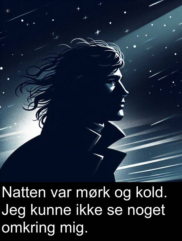 kunne: Natten var mørk og kold. Jeg kunne ikke se noget omkring mig.