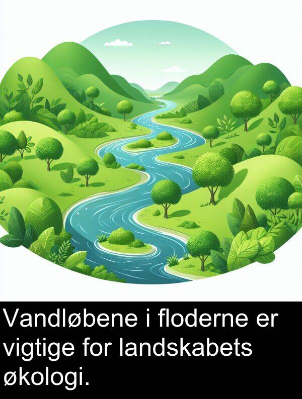 økologi: Vandløbene i floderne er vigtige for landskabets økologi.