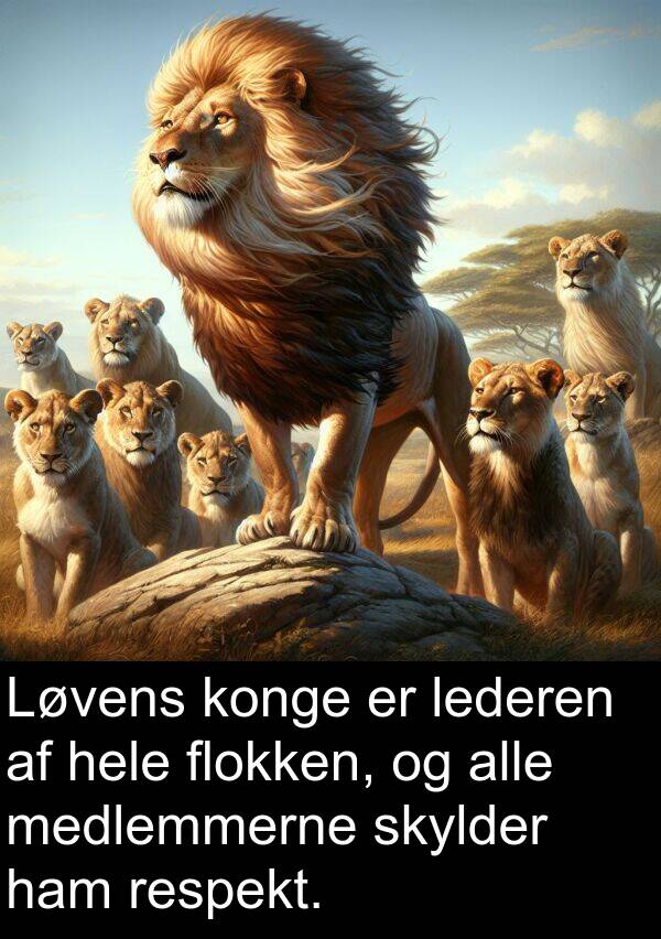 konge: Løvens konge er lederen af hele flokken, og alle medlemmerne skylder ham respekt.