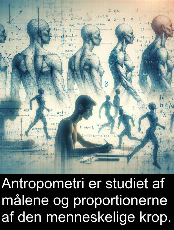 krop: Antropometri er studiet af målene og proportionerne af den menneskelige krop.