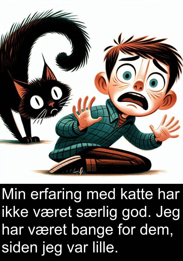 katte: Min erfaring med katte har ikke været særlig god. Jeg har været bange for dem, siden jeg var lille.